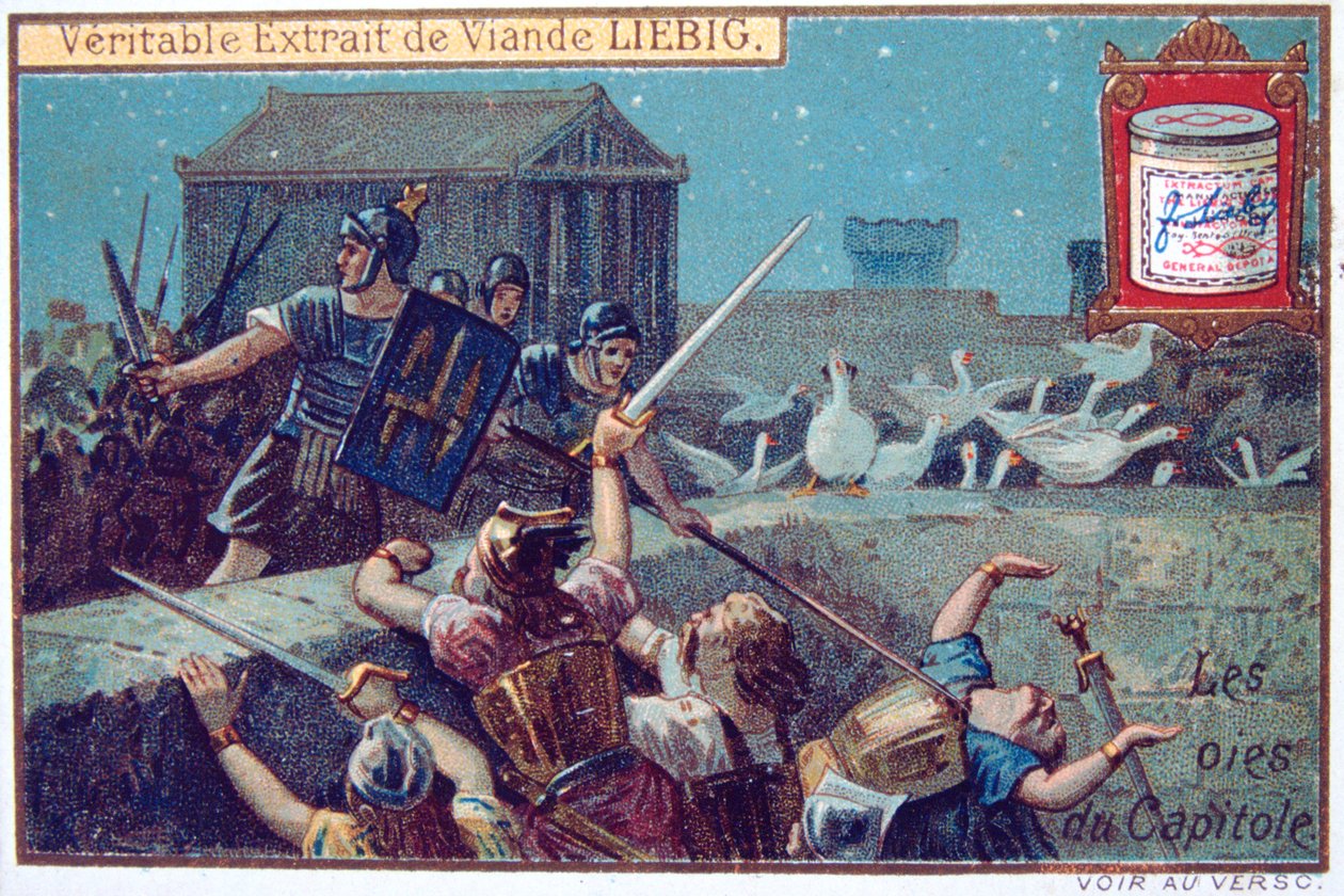 Die Gänse der Hauptstadt, Liebig-Kontinental-Sammelkarte, c1900 von Unbekannt