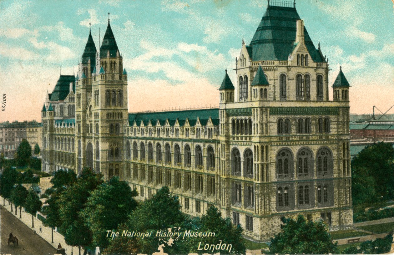 Das Naturhistorische Museum, London, ca. 1910 von Unbekannt