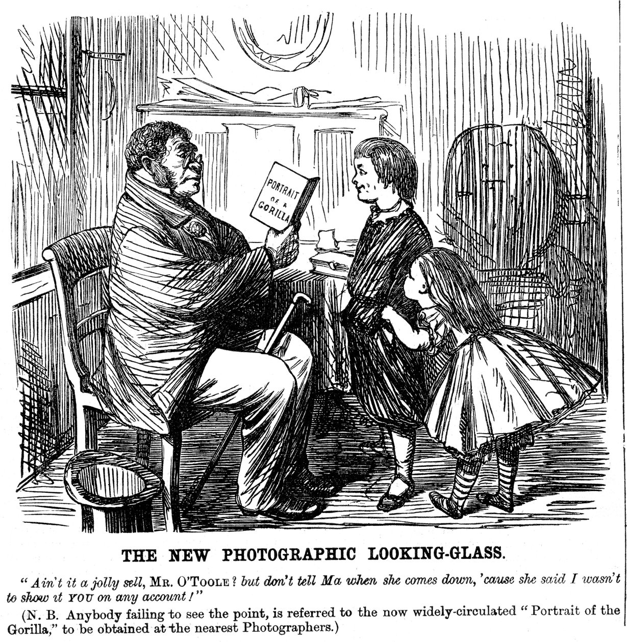 Der neue fotografische Spiegel, Karikatur aus Punch, täglicher Beweis für die Ursprünge des Menschen, 1861 von Unbekannt