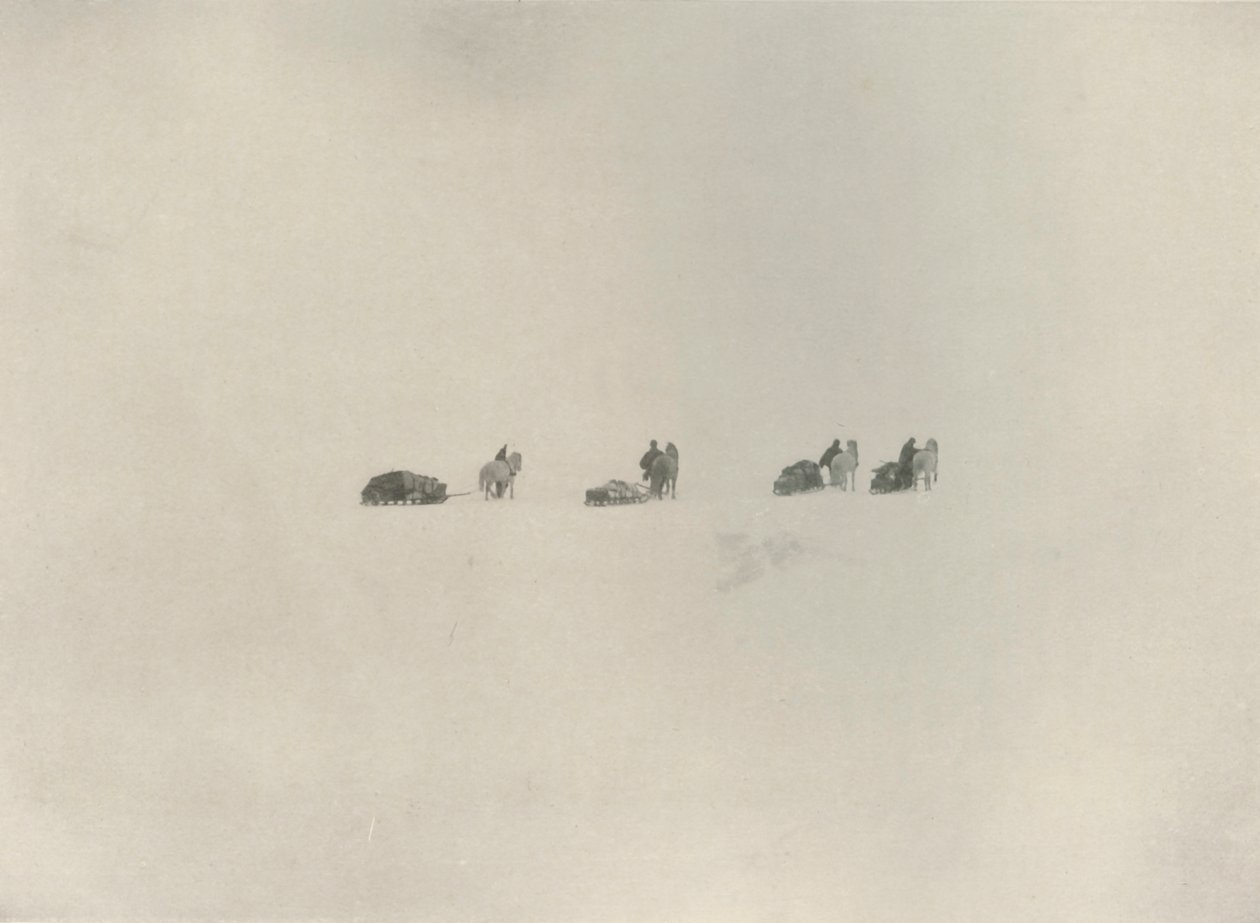 Die Südgruppe marschiert ins weiße Unbekannte, 1908, 1909 von Unbekannt