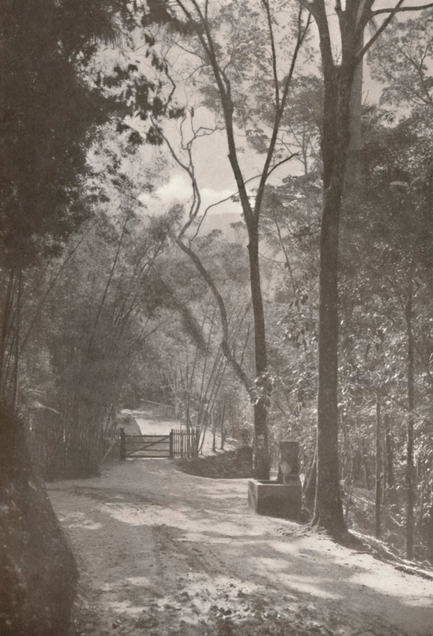 Der Geist von Tijuca, 1914 von Unbekannt