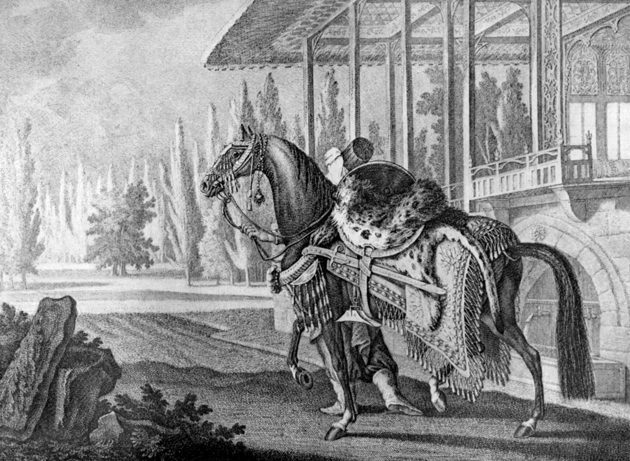 Arabisches Pferd des türkischen Paschas, 1722 von Unbekannt