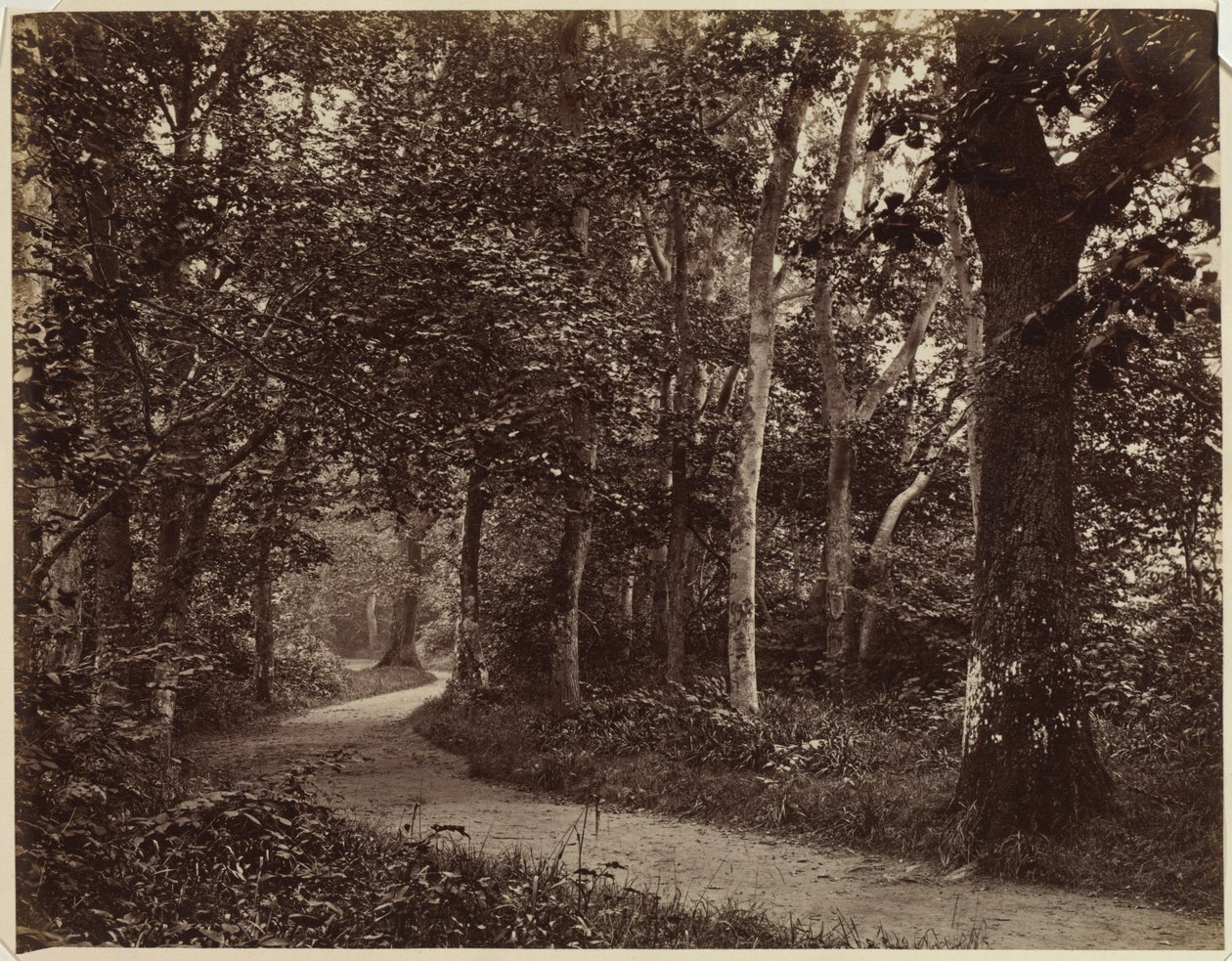 Ohne Titel Landschaft, frühe 1860er Jahre von Unbekannt