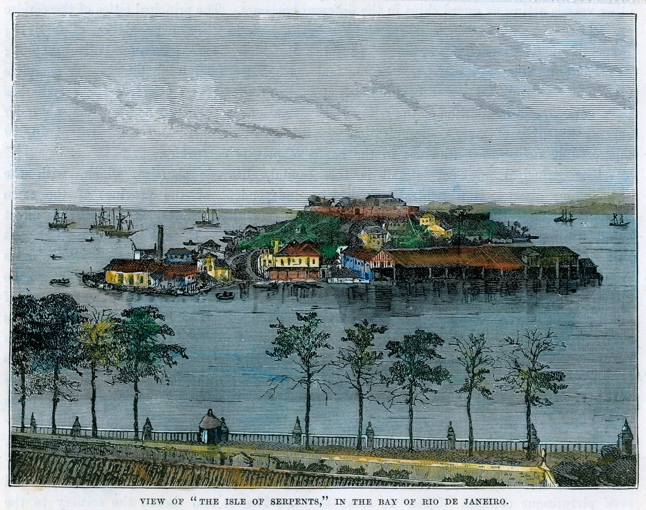 Ansicht der Insel der Schlangen, in der Bucht von Rio de Janeiro, Brasilien, ca. 1880 von Unbekannt