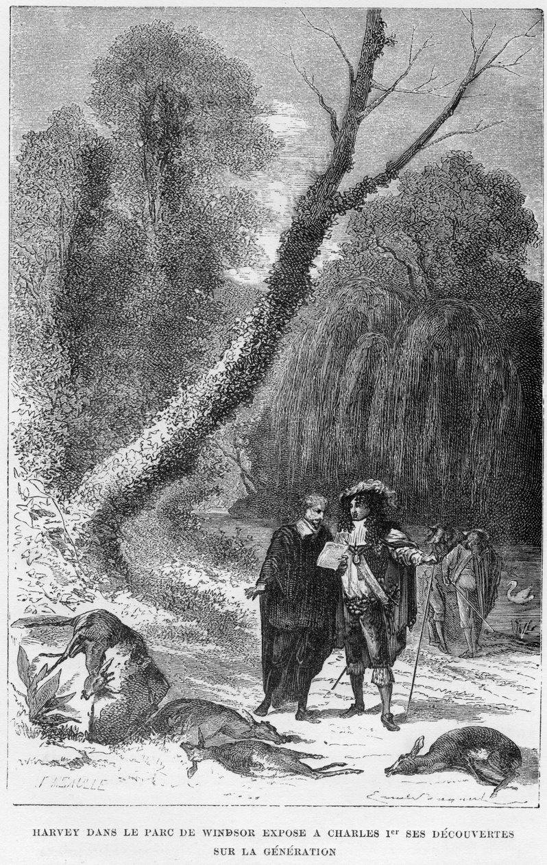 William Harvey, englischer Arzt, im Windsor Park, 17. Jahrhundert 1870 von Unbekannt