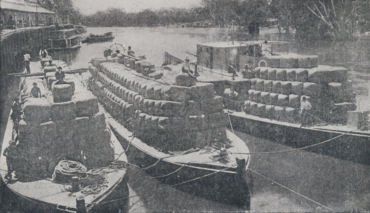 Wollkähne auf dem Murray River, 1923 von Unbekannt