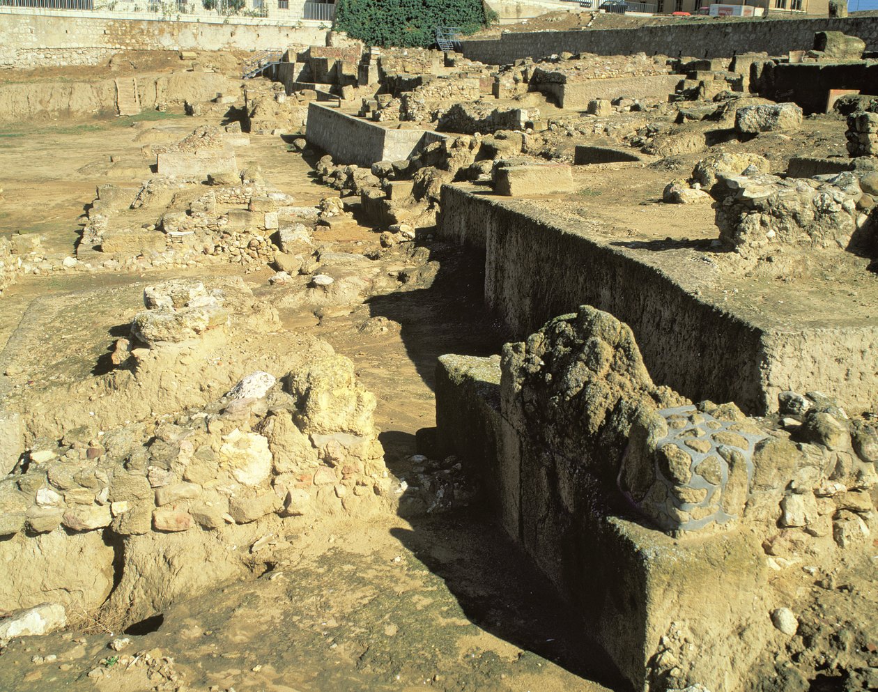 Archäologische Überreste der griechischen Kolonie, 6.-5. Jahrhundert v. Chr. von Unbekannt Unbekannt