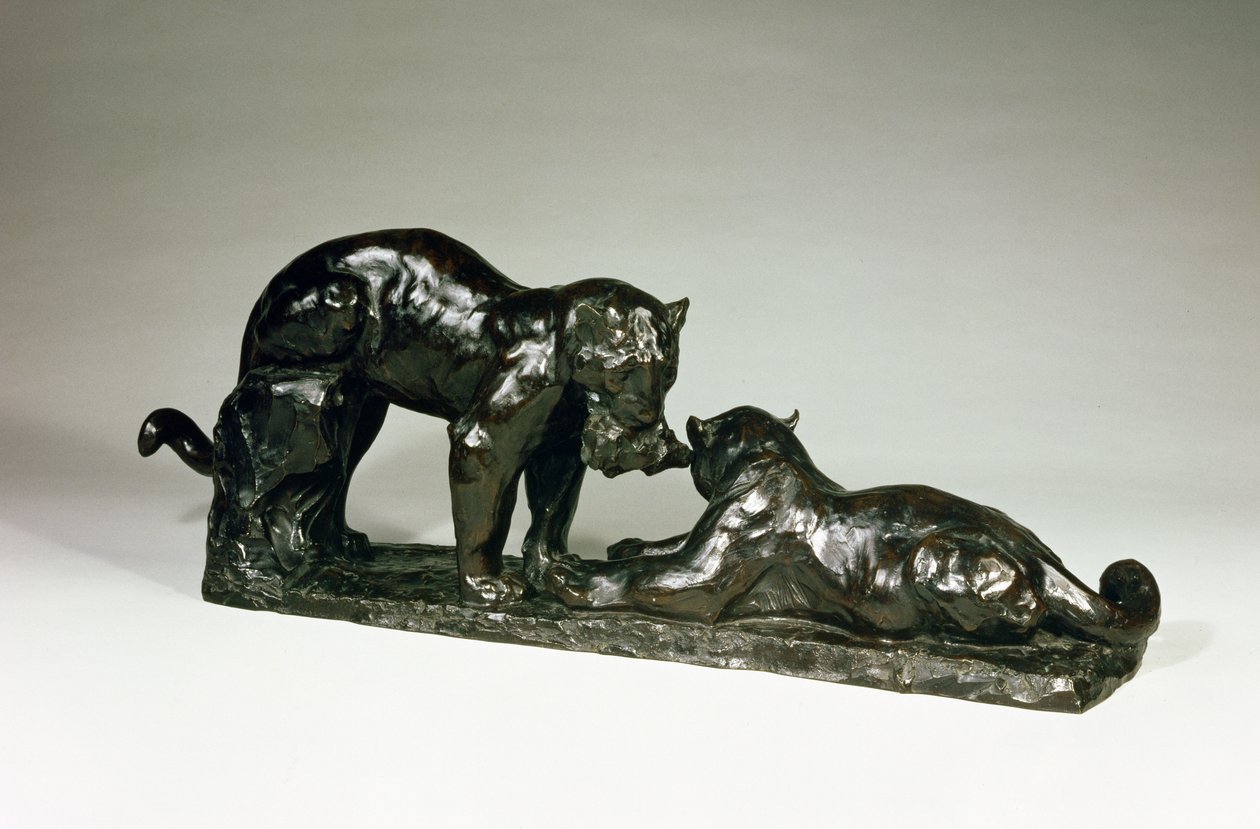 Zwei Jaguare von Rembrandt Bugatti (1885-1916) von Unbekannt Unbekannt