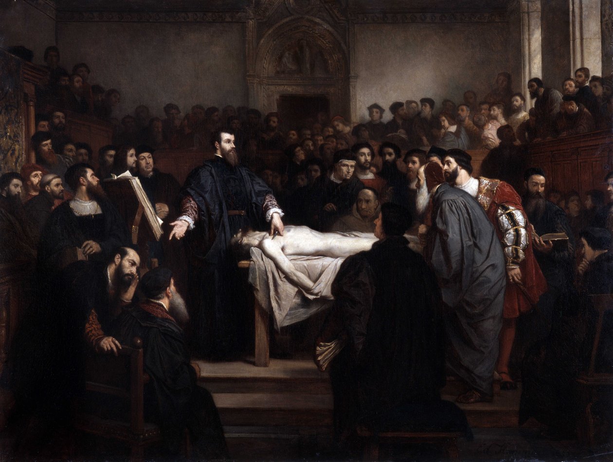 Anatomievorlesung. Andre Vesale (1514-1564), flämischer Anatom (Andrea Vesalius oder Andries Van Wesel) in Padua (Padova), Italien von Unbekannter Künstler