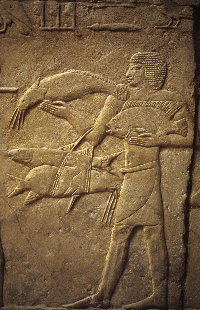 Altes Ägypten: Saqqara (oder Saqqarah oder Sakkara): Nekropole des Alten Reiches, Grab des Adligen. Detail der Reliefs, die einen Fischer darstellen von Leopold Blonder
