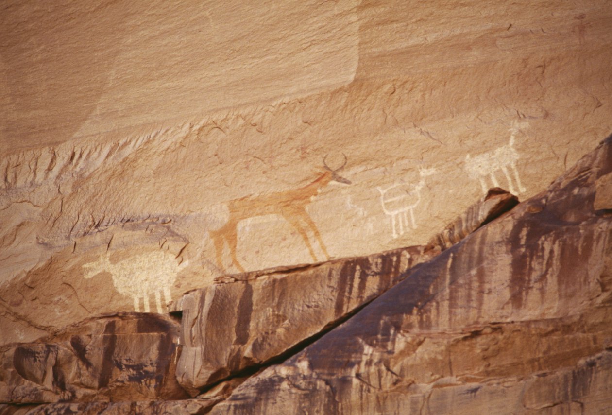 Tierfiguren, Felsmalereien von Navajo-Künstlern, Canyon de Chelly National Monument, Navajo-Indianerreservat, Arizona, USA von Benjamin Baud