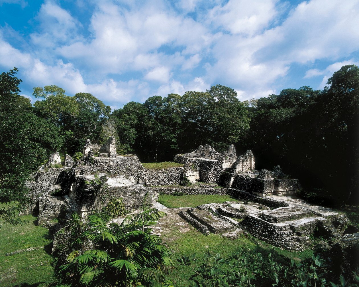 Präkolumbische Zivilisation: Blick auf die Maya-Stätte Uaxactun von Alec Hunter