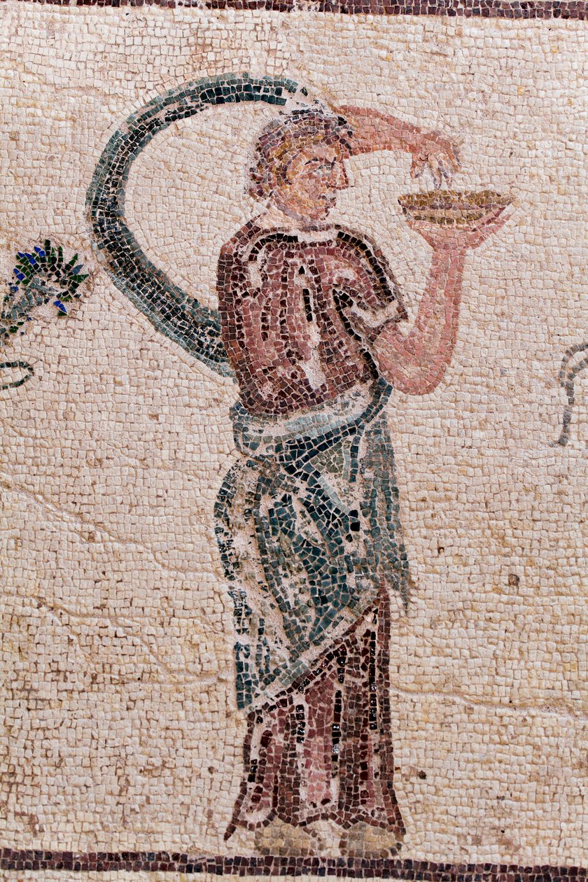 (Detail) Der Triumph des Dionysos - Rückkehr des Gottes von einem Feldzug nach Indien - Eine Bacchantin mit einer Opferschale - Paphos-Mosaiken, Haus des Dionysos, Ende des 2. Jahrhunderts n. Chr. - Zypern von William M. Timlin