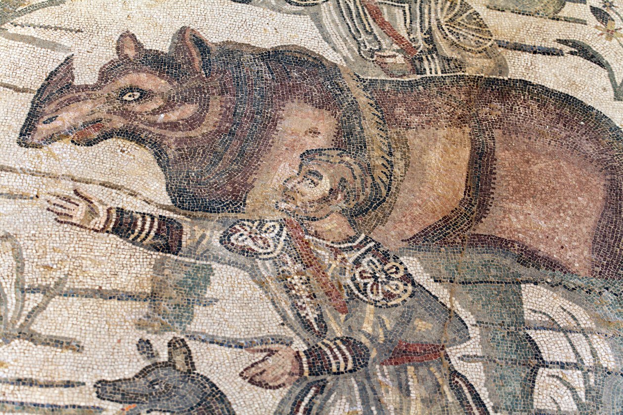 Detail des großen Jagdmosaiks. Ein Nashorn wird auf ein Boot geführt, um zum nächsten Hafen transportiert zu werden. 3. - 4. Jahrhundert. Römische Villa del Casale, Sizilien. UNESCO-Weltkulturerbe. von William M. Timlin