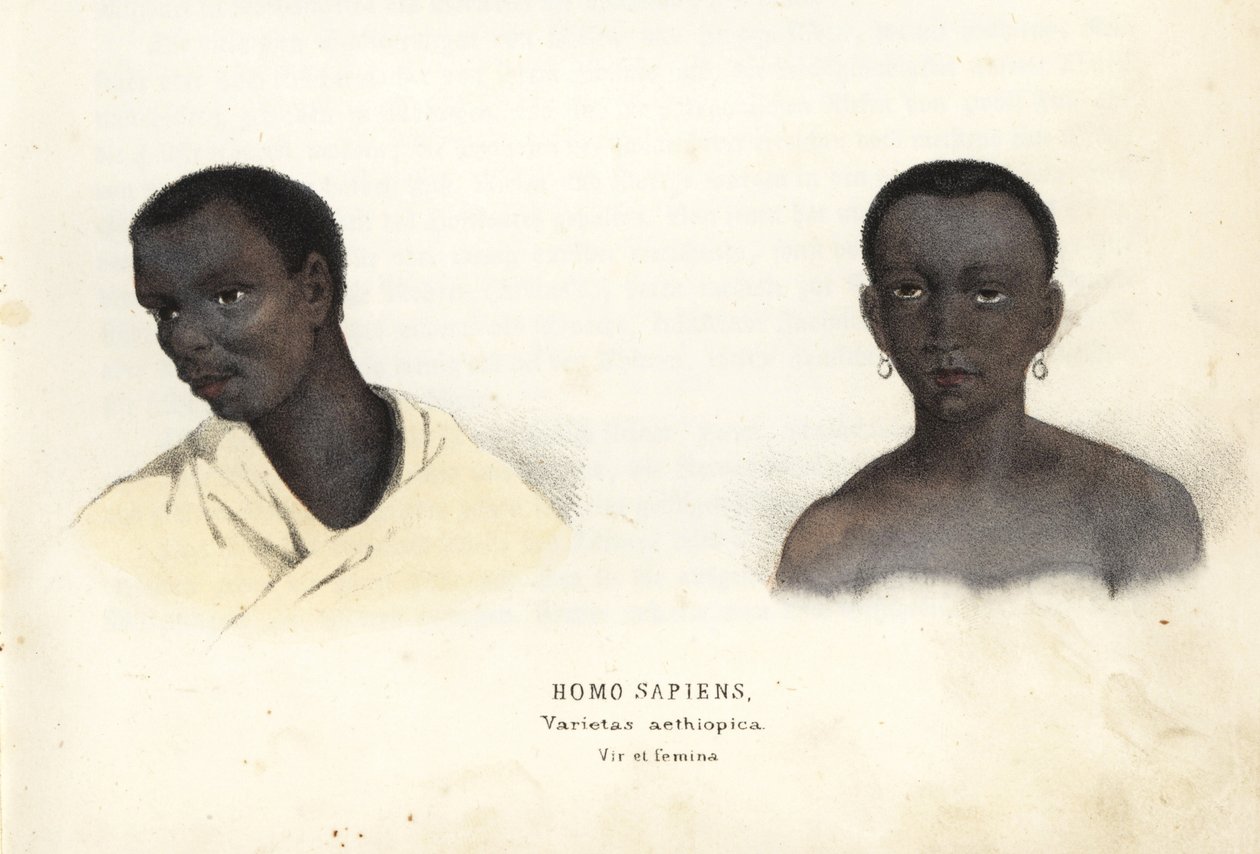 Äthiopischer Mann und Frau. Handkolorierte Stahlgravur aus Georg Friedrich Treitschkes Galerie der Naturgeschichte, Naturhistorischer Bildersaal des Tierreiches, Leipzig-1842 von Unbekannter Künstler