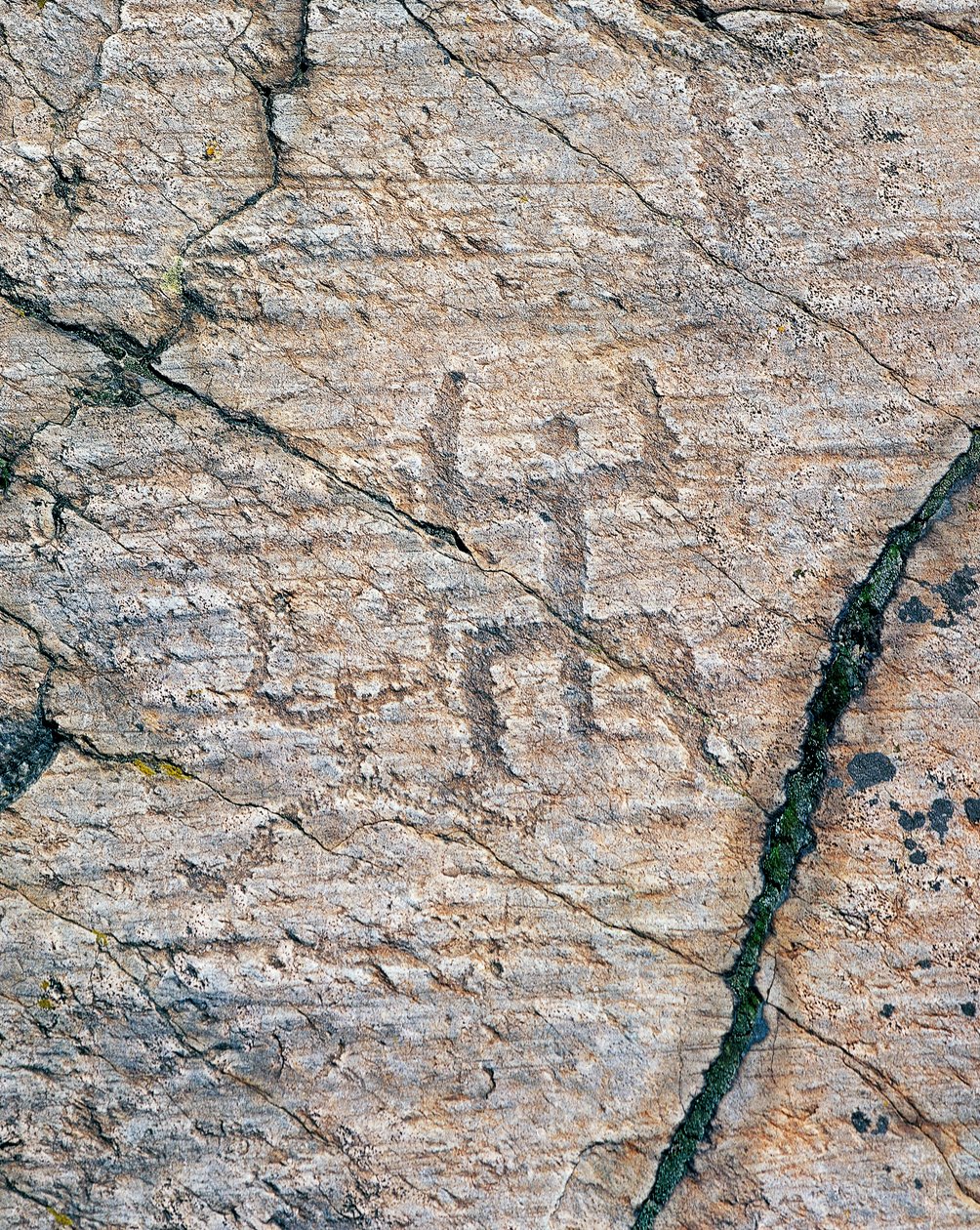 Menschliche Figuren, Felsgravuren im Naquane National Rock Art Park (Unesco-Welterbeliste) von William M. Timlin