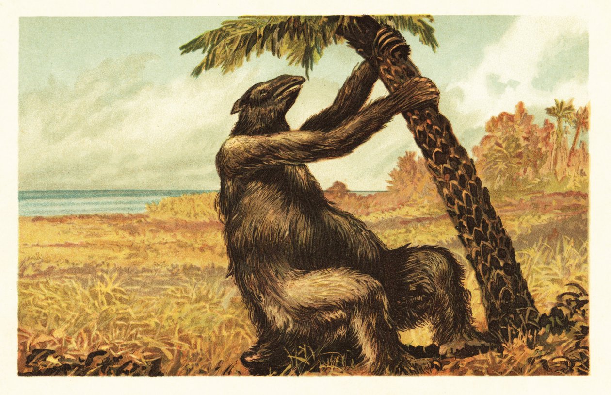 Megatherium americanum zieht an einer Palme von Unbekannter Künstler