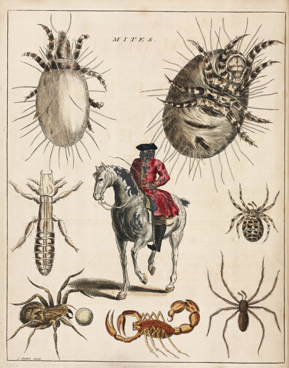Mikroskopie von Unbekannt