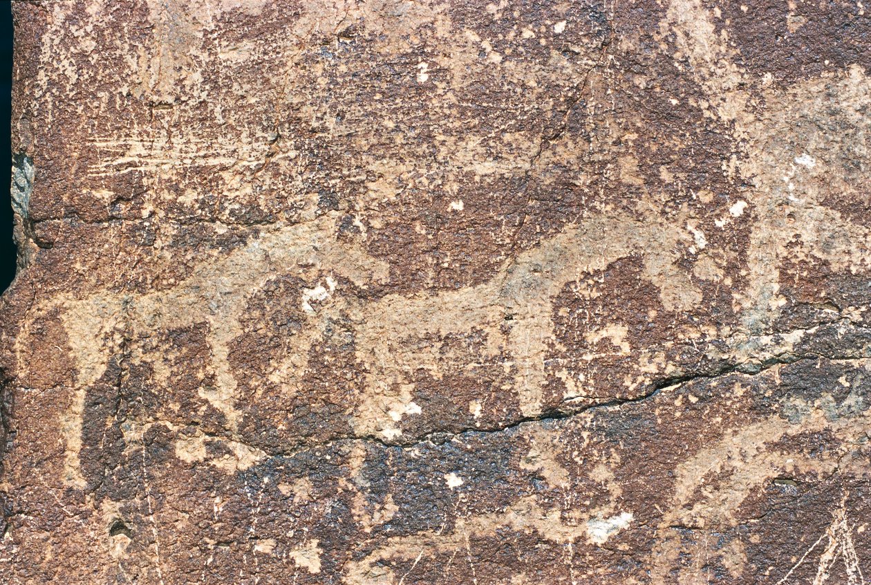 Mongolei, Gobi-Wüste, Felsgravur von Benjamin Baud