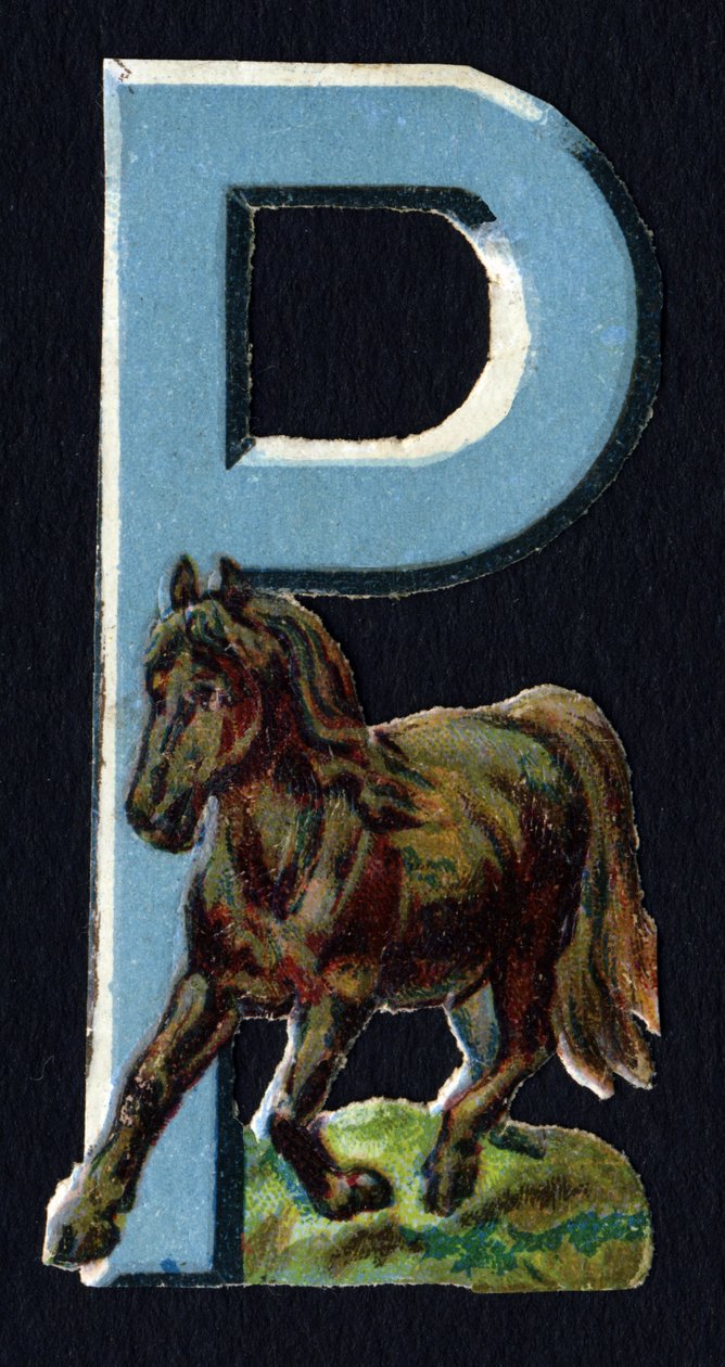 P wie Pony. Serie von 26 Waffel-Chromolithographien englischen Ursprungs. Ende des 19. Jahrhunderts. von Unbekannt