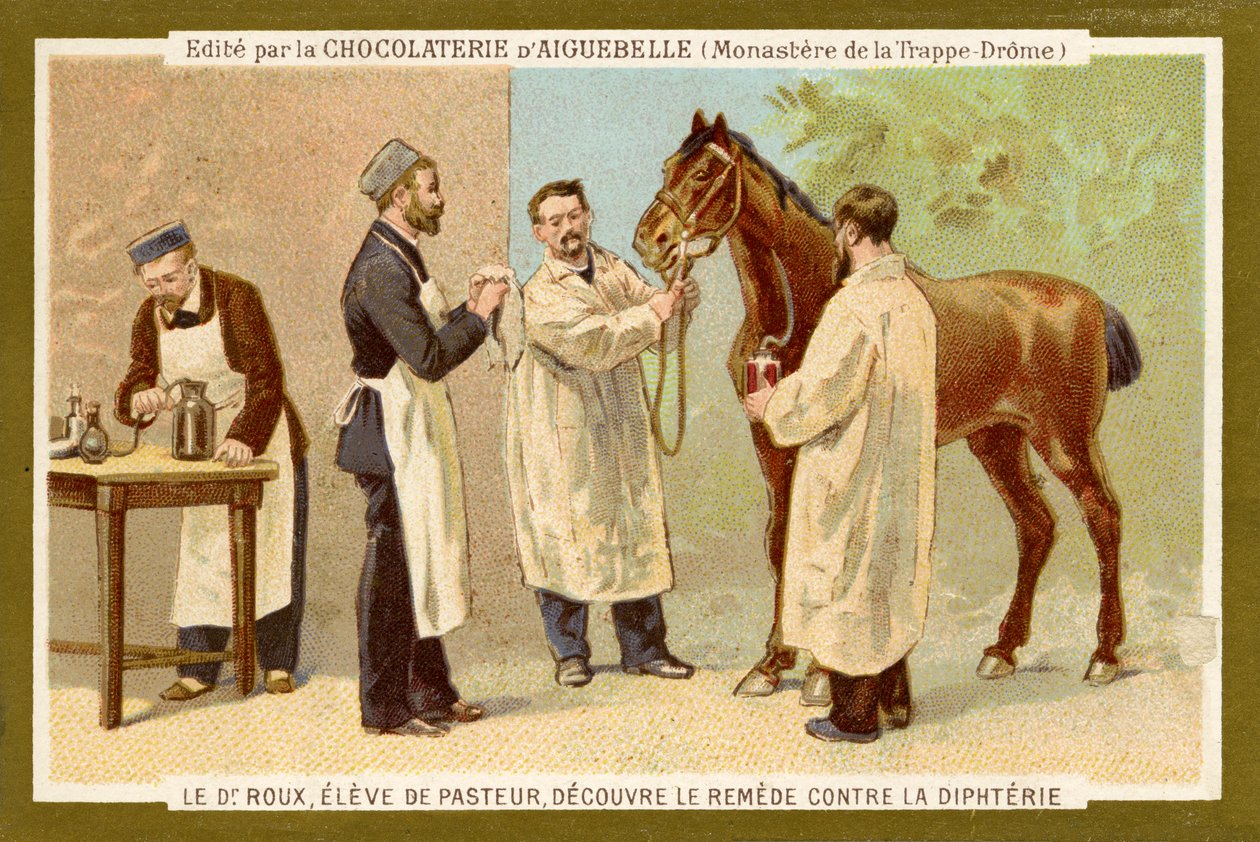 Pierre Paul Émile Roux von Unbekannter Künstler