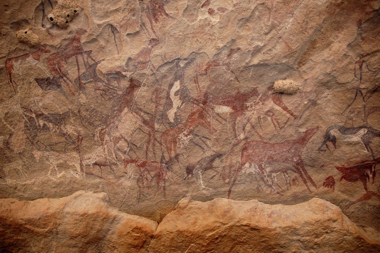 Felskunst, Vorgeschichte: Felsmalerei einer Gruppe von Rindern und polychromen Figuren in einem verzierten Schutzraum im Uweinat-Massiv, Sudan. Zeitraum von 8000 bis 3000 v. Chr. Fotografie von Unbekannt