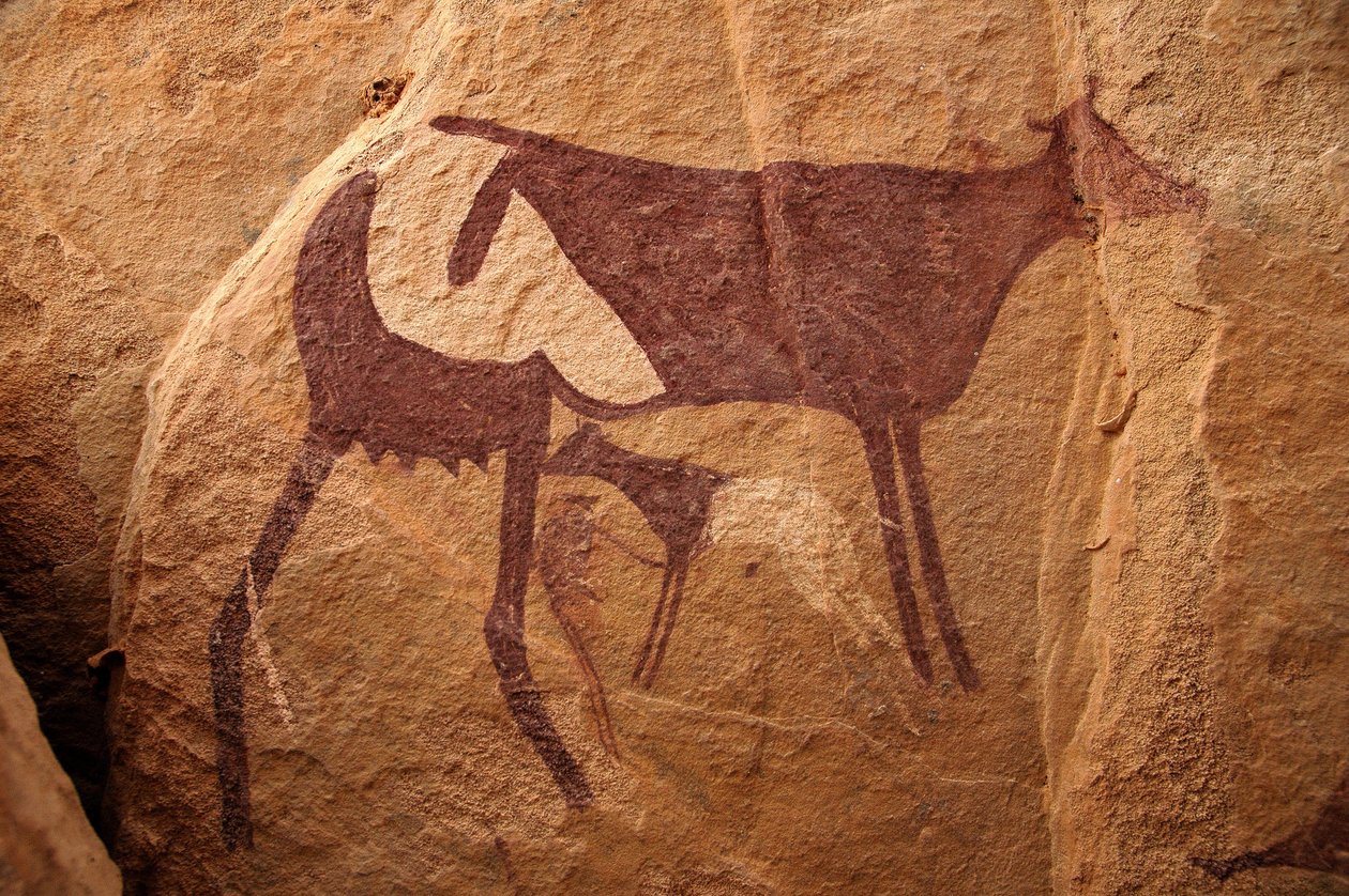 Felskunst, Vorgeschichte: Felsmalerei einer großen zweifarbigen Kuh und ihres Kalbes in einem verzierten Schutzraum im Uweinat-Massiv, Sudan. Zeitraum von 8000 bis 3000 v. Chr. Fotografie von Unbekannt