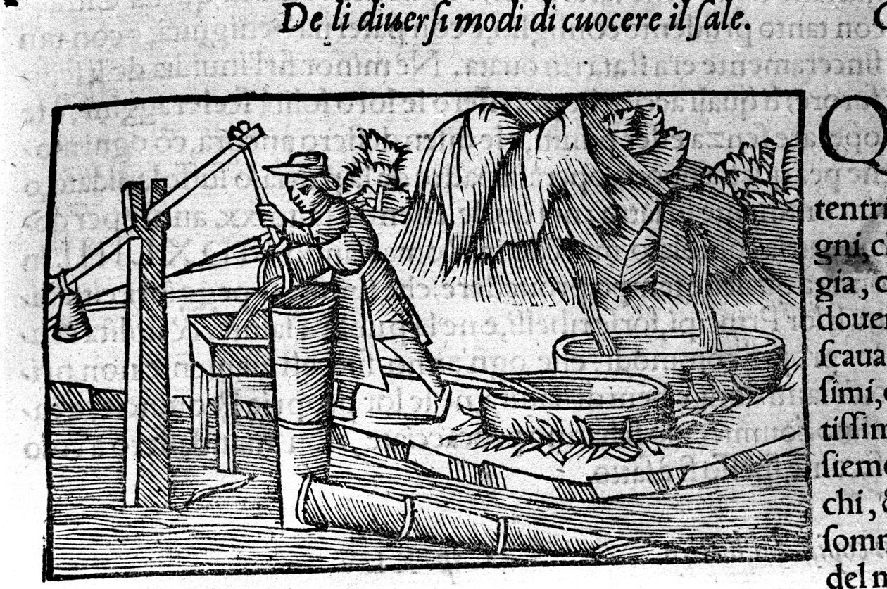 Salzproduktion: Kochen. Gravur von Olaus Magnus (1490-1557), schwedischer Geistlicher und Geograph, „Historia de Gentis Septentrionalibus“, Venedig von Unbekannt