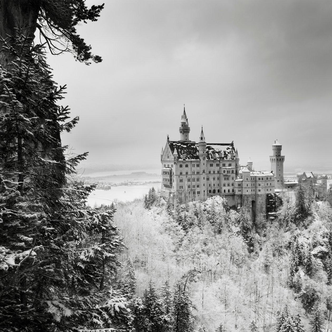 Schloss Neuschwanstein, Füssen, Deutschland von Leopold Blonder