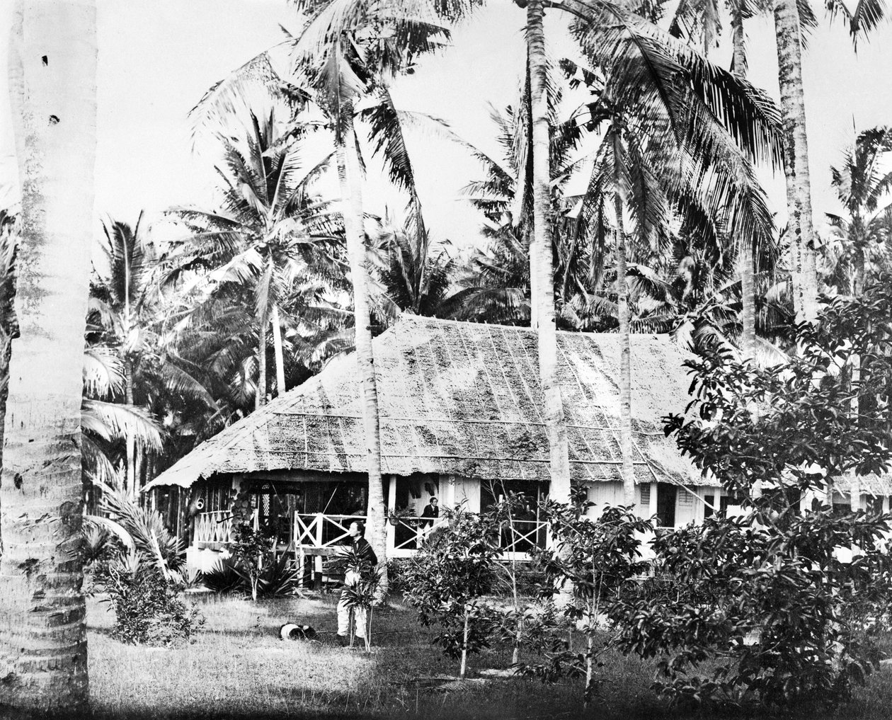 Singapur: Ein privater Bungalow umgeben von Palmen. Singapur, ca. 1875 von Unbekannt