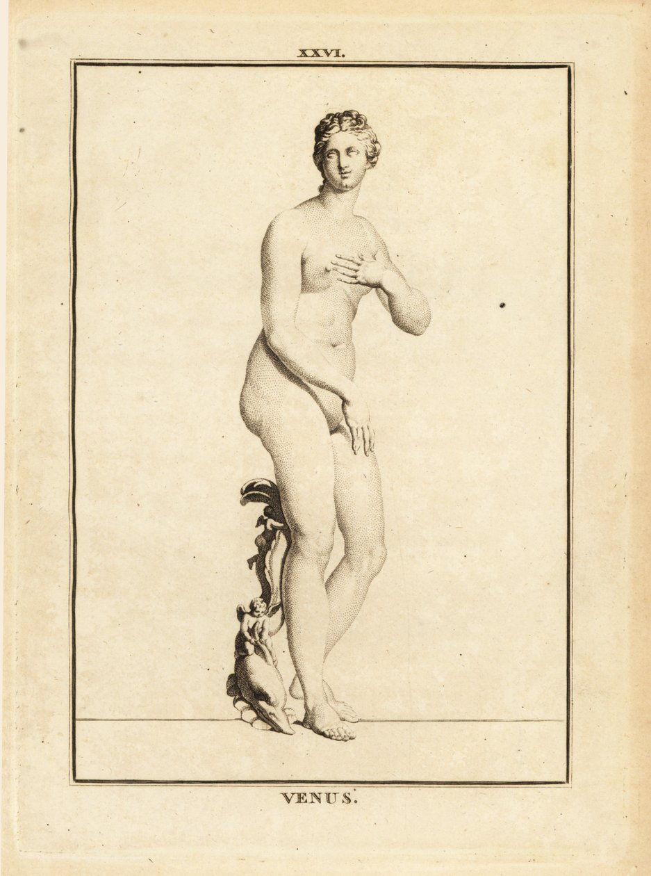 Statue der Venus, römische Göttin der Liebe, Schönheit, Sexualität und Fruchtbarkeit von Unbekannt