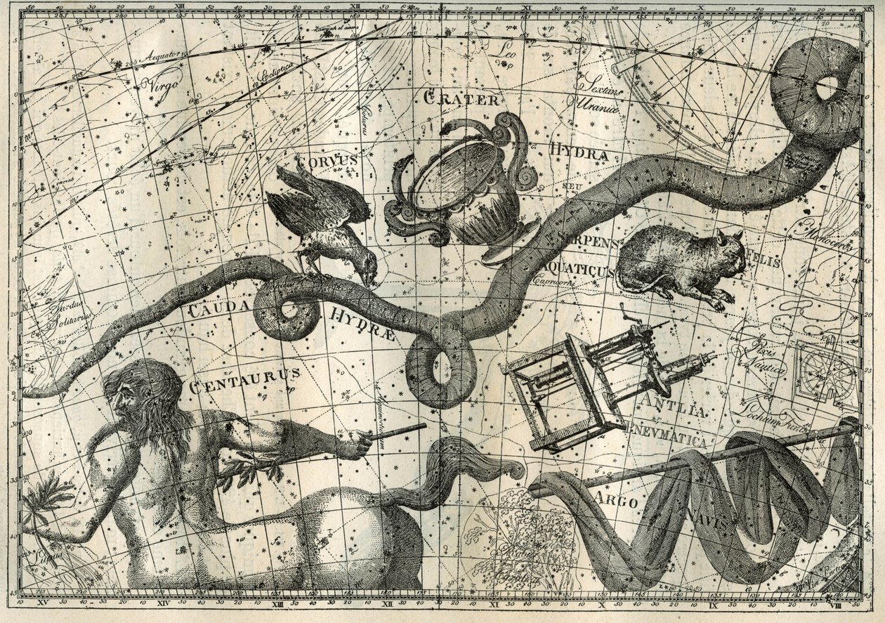 Das Sternbild der Hydra, mit einem Raben, der sie pickte, und einem Becher des Ausgleichs, entstanden aus dem Mythos von Apollo, der einen Raben mit einem Becher voll Wasser schickte, um Jupiter ein Opfer zu bringen. Unter der Hydra zeichnete der französis von Unbekannter Künstler