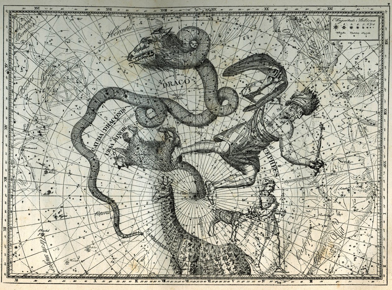Die nahegelegenen Sternbilder des Nordpols: Kleiner Bär, Drache, Kepheus, Giraffe, Rentier und Messier. Gravur aus Camille Flammarions „Les étoiles et les autres curiosités du ciel“ von Unbekannt