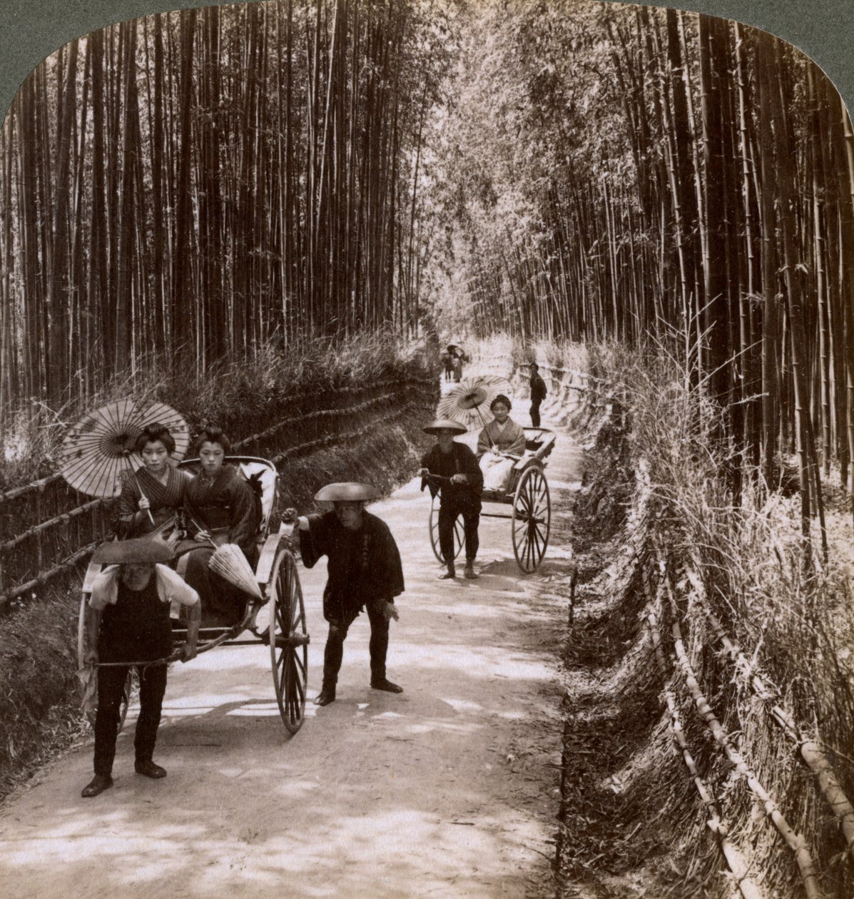 Bambusallee, Blick nach Südwesten, nahe Kiyomizu, Kyoto, Japan, 1904 von Underwood and Underwood