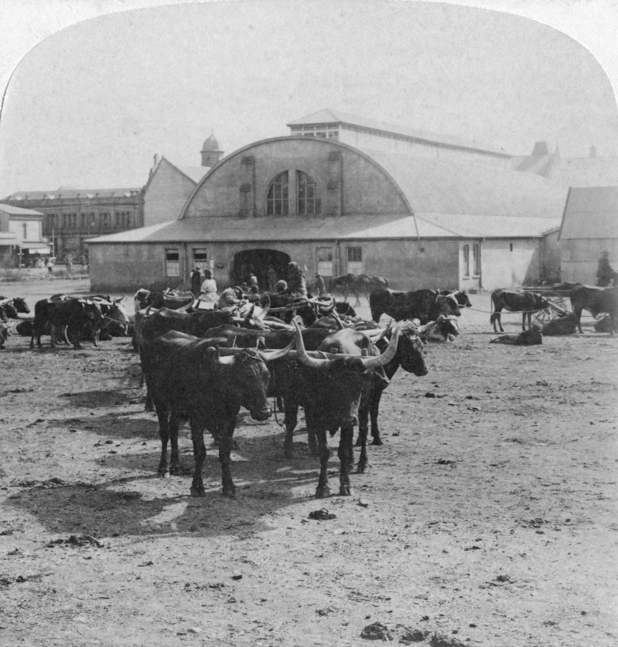 Gebäude, in dem Kriegsgefangene verurteilt wurden, Pretoria, Südafrika, Burenkrieg, 1901 von Underwood and Underwood
