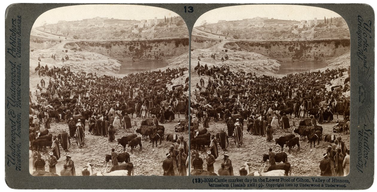 Viehmarkt im unteren Becken von Gihon, Tal von Hinnom, Jerusalem, Palästina, 1900 von Underwood and Underwood