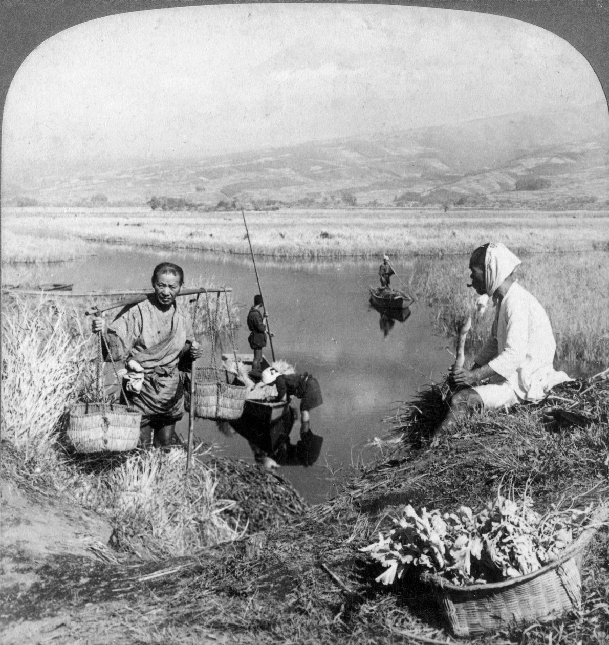 Männer sammeln Binsen in der Nähe von Suzukawa, Fujiyama, Japan, 1904 von Underwood and Underwood
