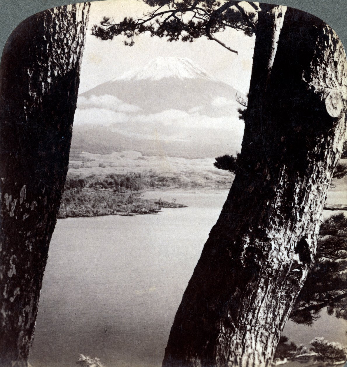 Der Berg Fuji, gesehen vom Nordwesten, durch Kiefern am Lake Motosu, Japan, 1904 von Underwood and Underwood