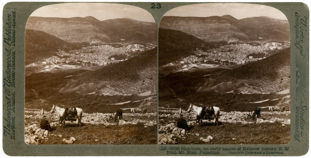 Sichem, südwestlich vom Berg Ebal, Palästina, 1900er Jahre von Underwood and Underwood