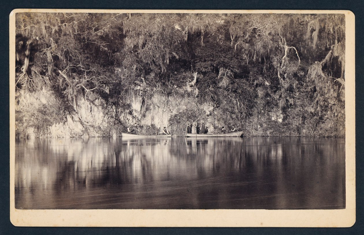 Unter den Klippen des Withlacoochee River, Florida von Unidentified