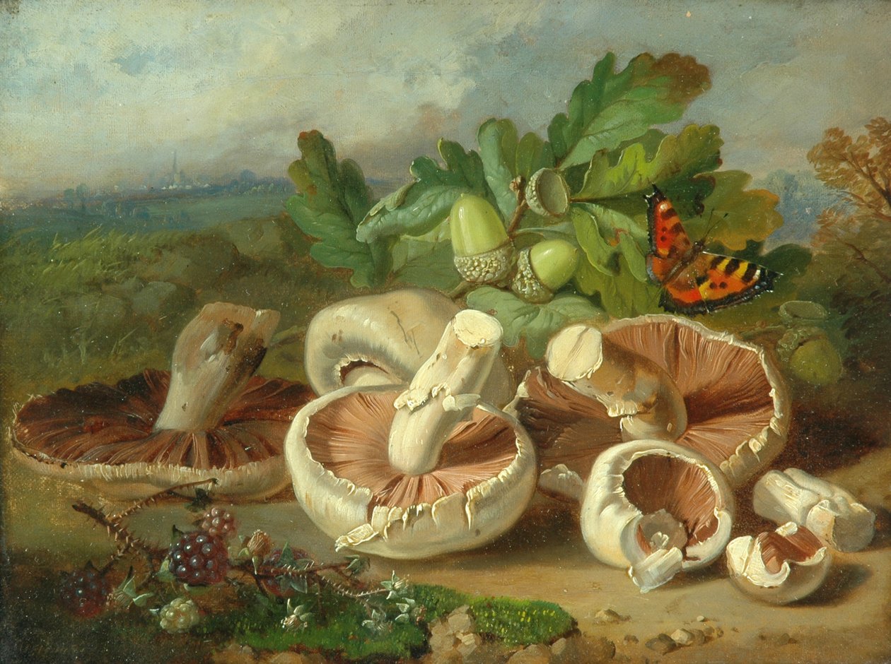 Stillleben mit Pilzen, 1859 von Unknown