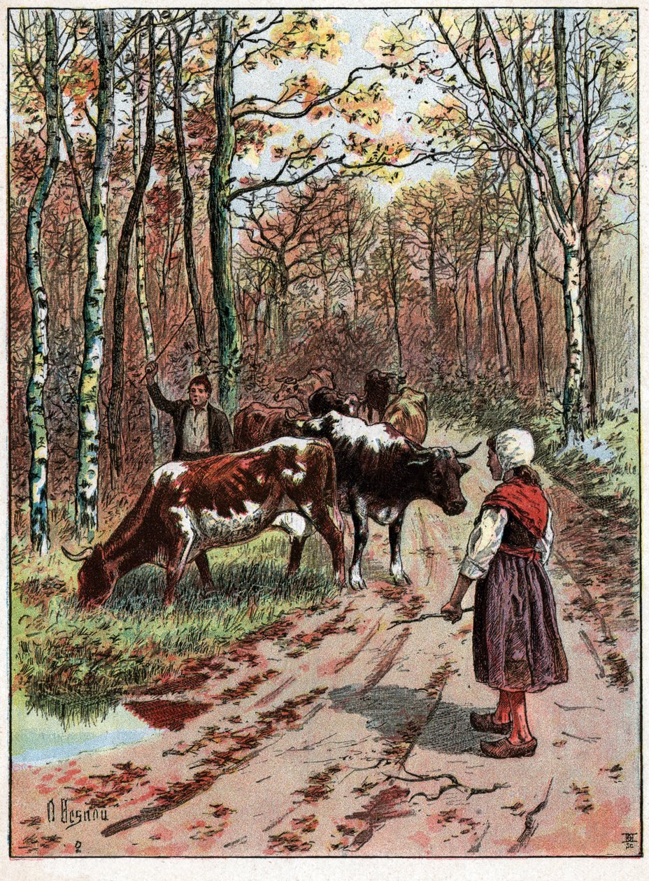 Troupeau de vaches von Unknown