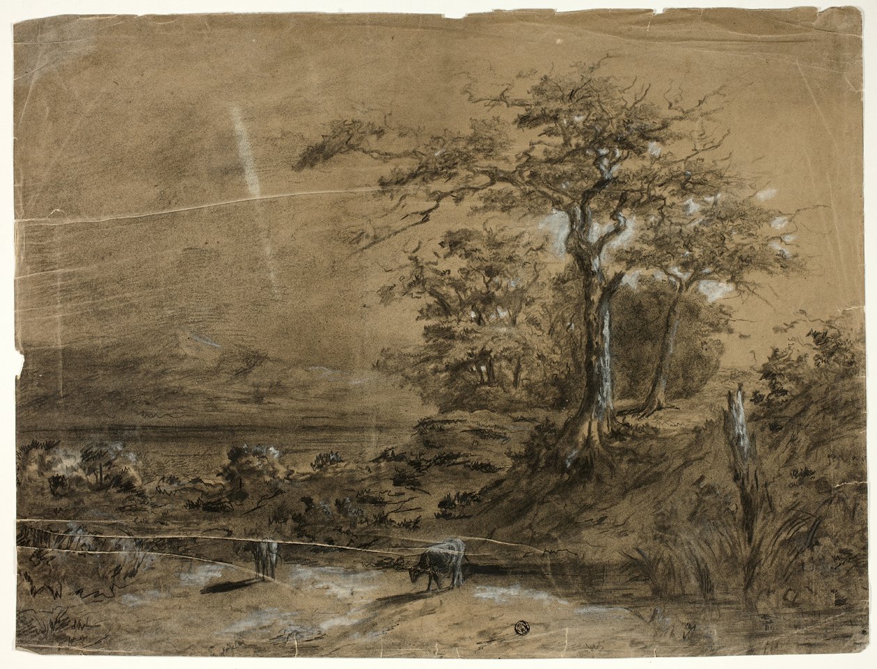Waldlandschaft mit Kühen im Vordergrund von Unknown