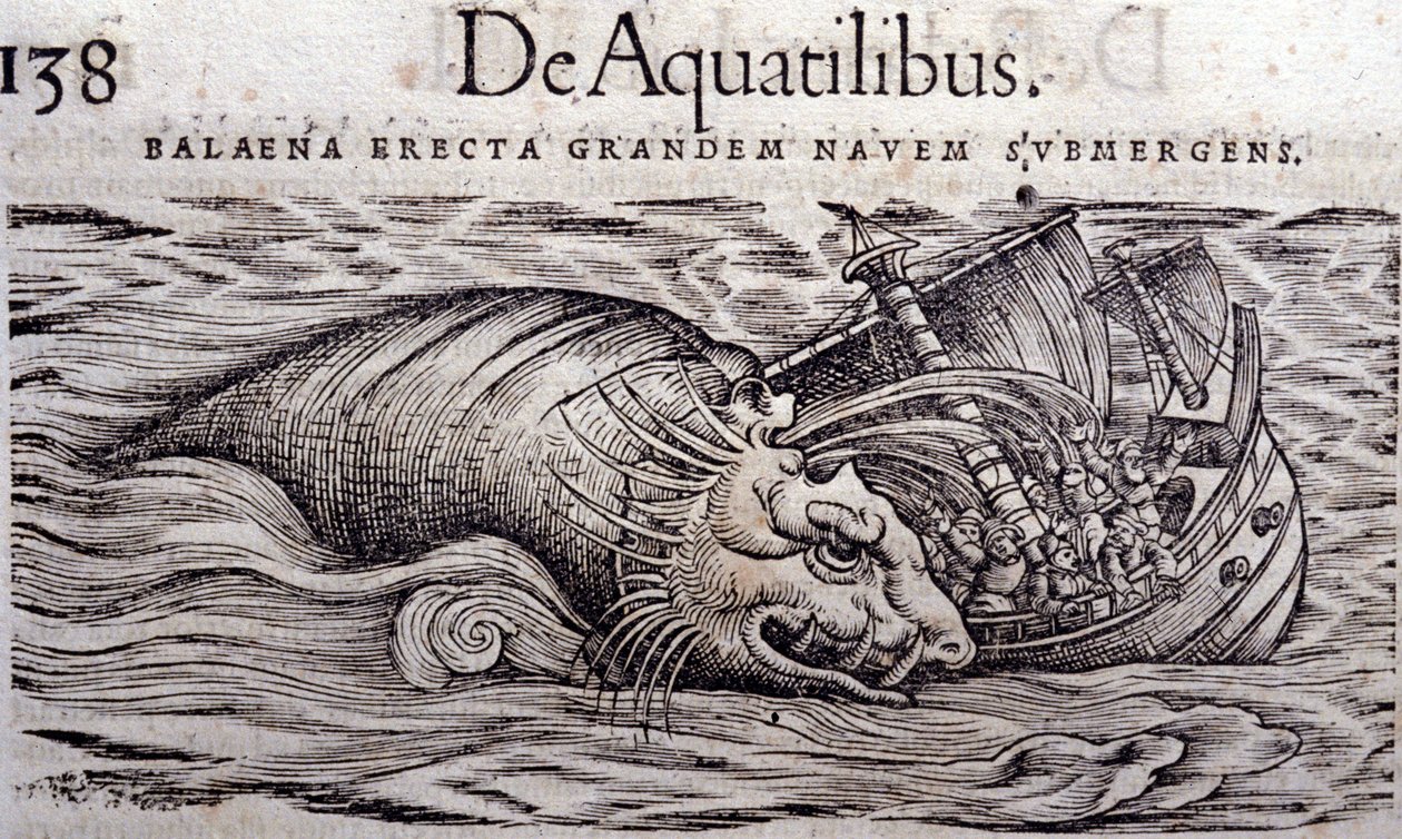 Ein Wal zerstört den Rumpf eines Bootes und verursacht dessen Untergang. Gravur in Historia Animalium von Conrad Gesner (1516 - 1565), Tiguri von Unknown artist