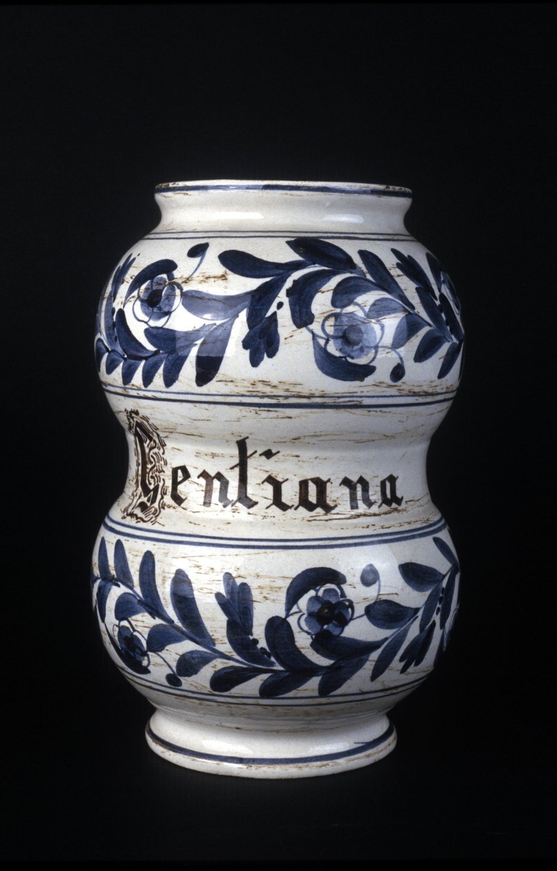 Albarelle: ehemaliges Apothekengefäß aus dem 16. Jahrhundert mit Enzian. Museum für Wissenschaft und Technik, Mailand von Unknown artist