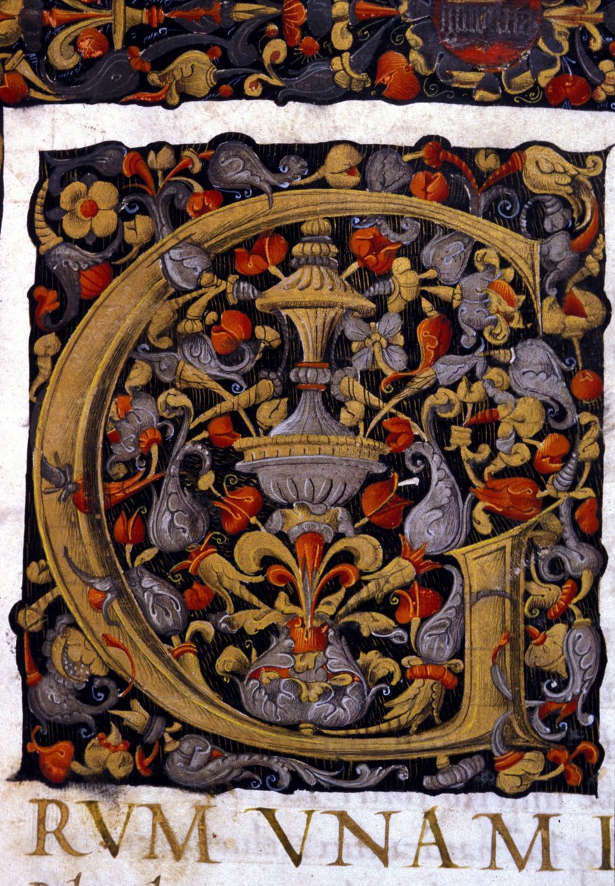 Alphabet: miniaturisierter Buchstabe G von Unknown artist