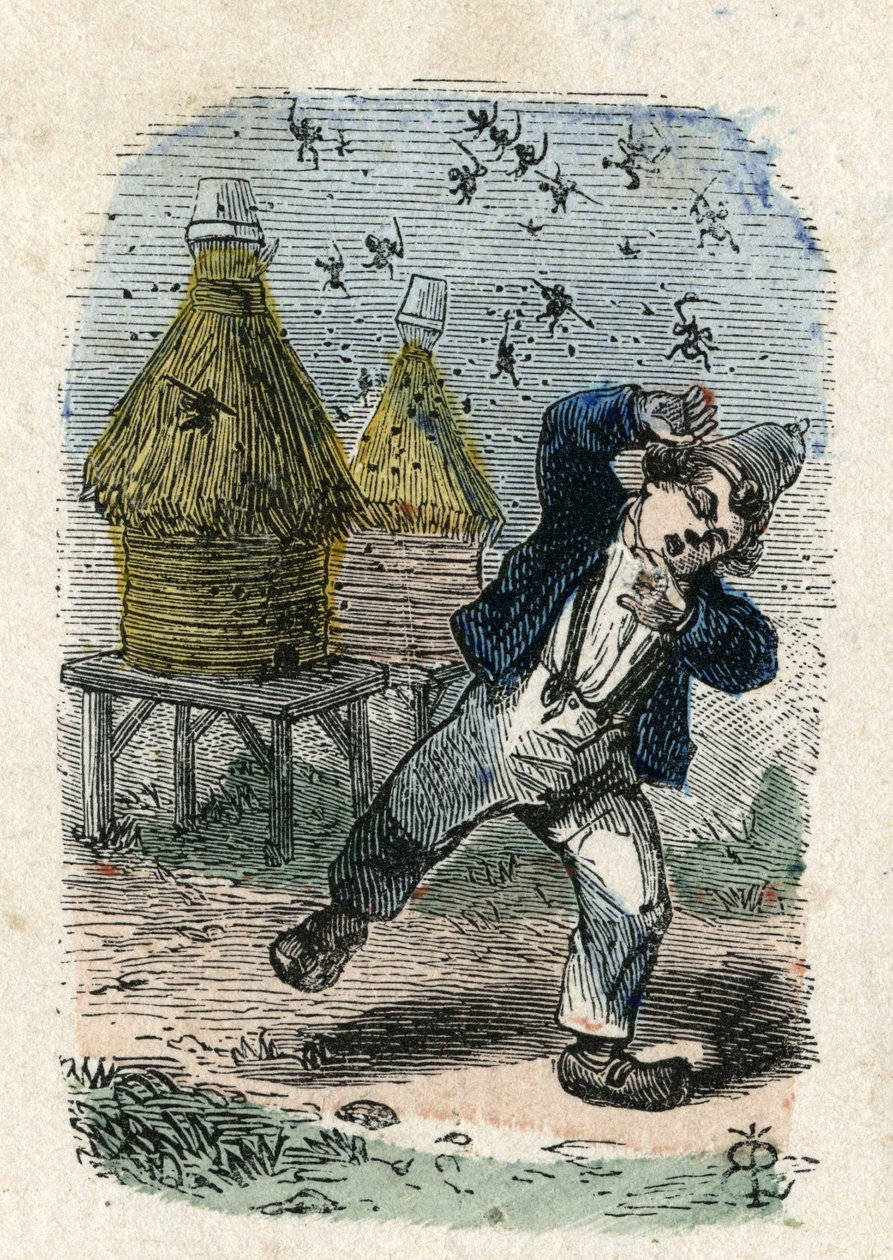 Bienen greifen ein Kind in der Nähe ihres Bienenstocks an. Illustration des 19. Jahrhunderts. Bianchetti Sammlung von Unknown artist