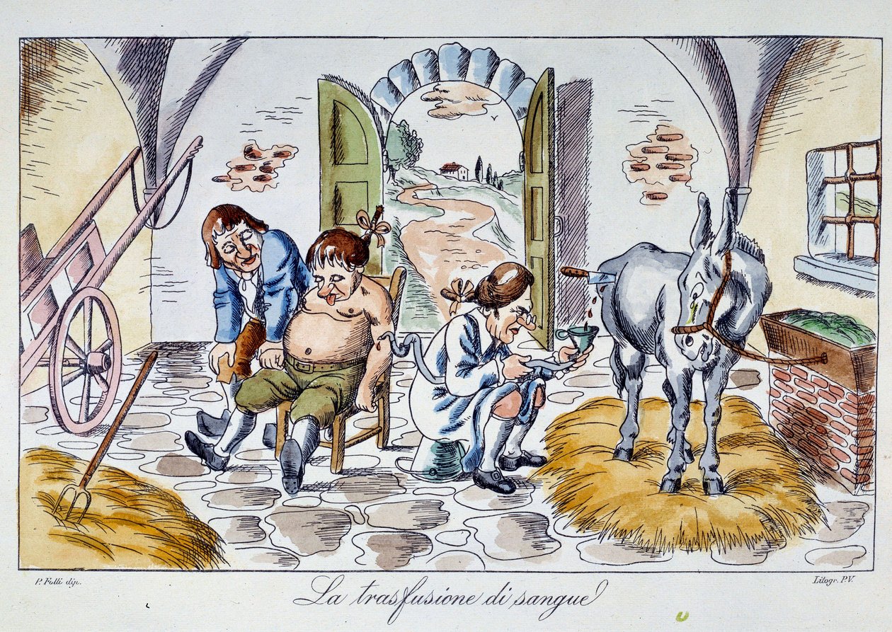 Bluttransfusion. Ein Arzt injiziert Pferdeblut in einen Patienten. Karikatur aus dem 19. Jahrhundert. Private Sammlung von Unknown artist