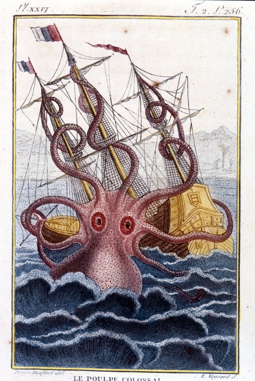 Kolossaler Oktopus (Riesenkrake) greift ein Schiff an - Gravur aus dem Buch von Pierre Denys-Montfort „Histoire naturelle des mollusques“, Originalausgabe von 1802 von Unknown artist