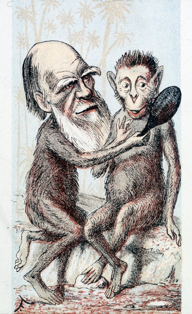 Komische Zeichnung zur Darwinschen Theorie - in „London Sketchbook“ von Unknown artist